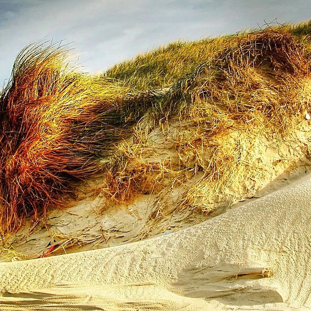 Glezna melnā rāmī - Dunes Home Trends