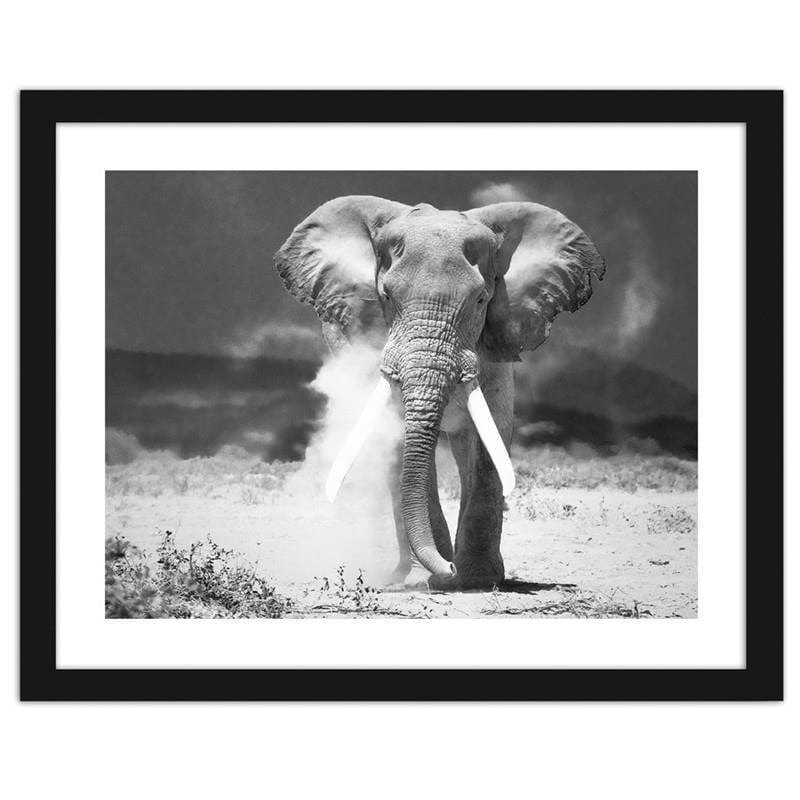 Glezna melnā rāmī - Elephant Home Trends