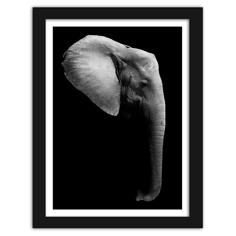 Glezna melnā rāmī - Elephant in black and white Home Trends