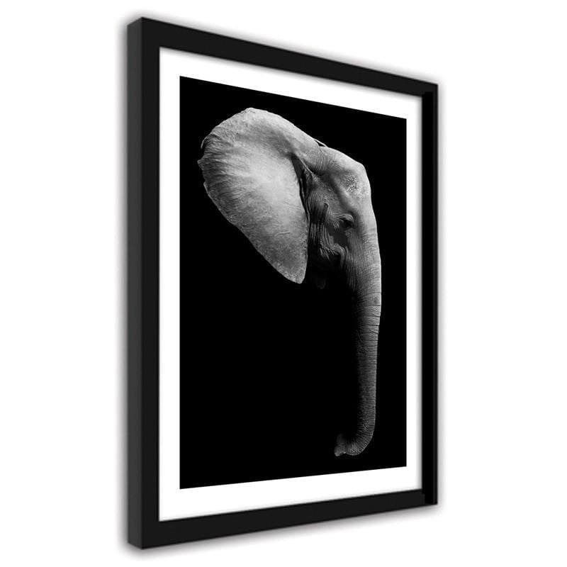 Glezna melnā rāmī - Elephant in black and white Home Trends