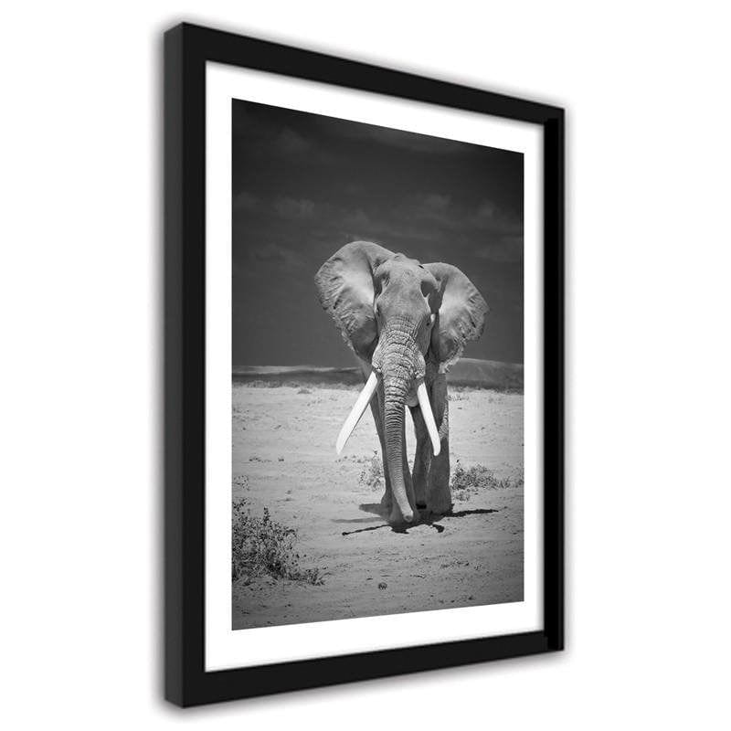 Glezna melnā rāmī - Elephant in the desert Home Trends