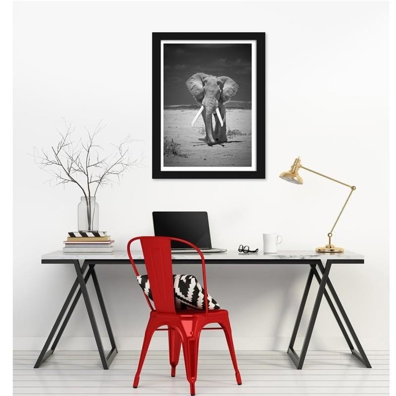 Glezna melnā rāmī - Elephant in the desert Home Trends