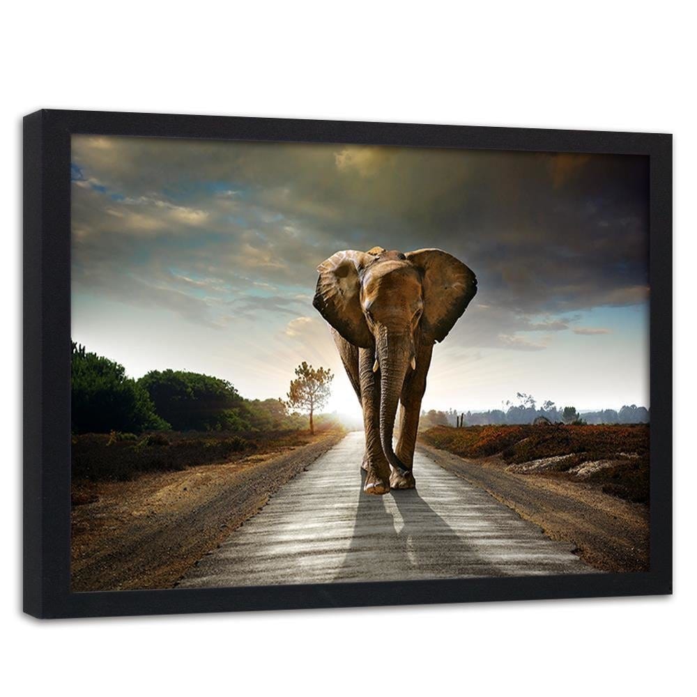 Glezna melnā rāmī - Elephant On The Road Home Trends
