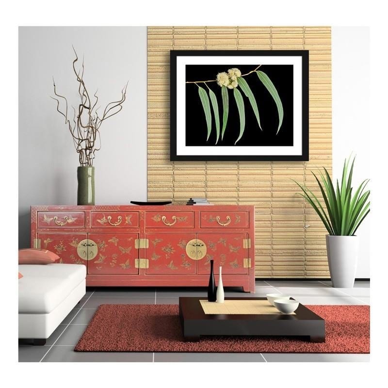 Glezna melnā rāmī - Eucalyptus leaves Home Trends
