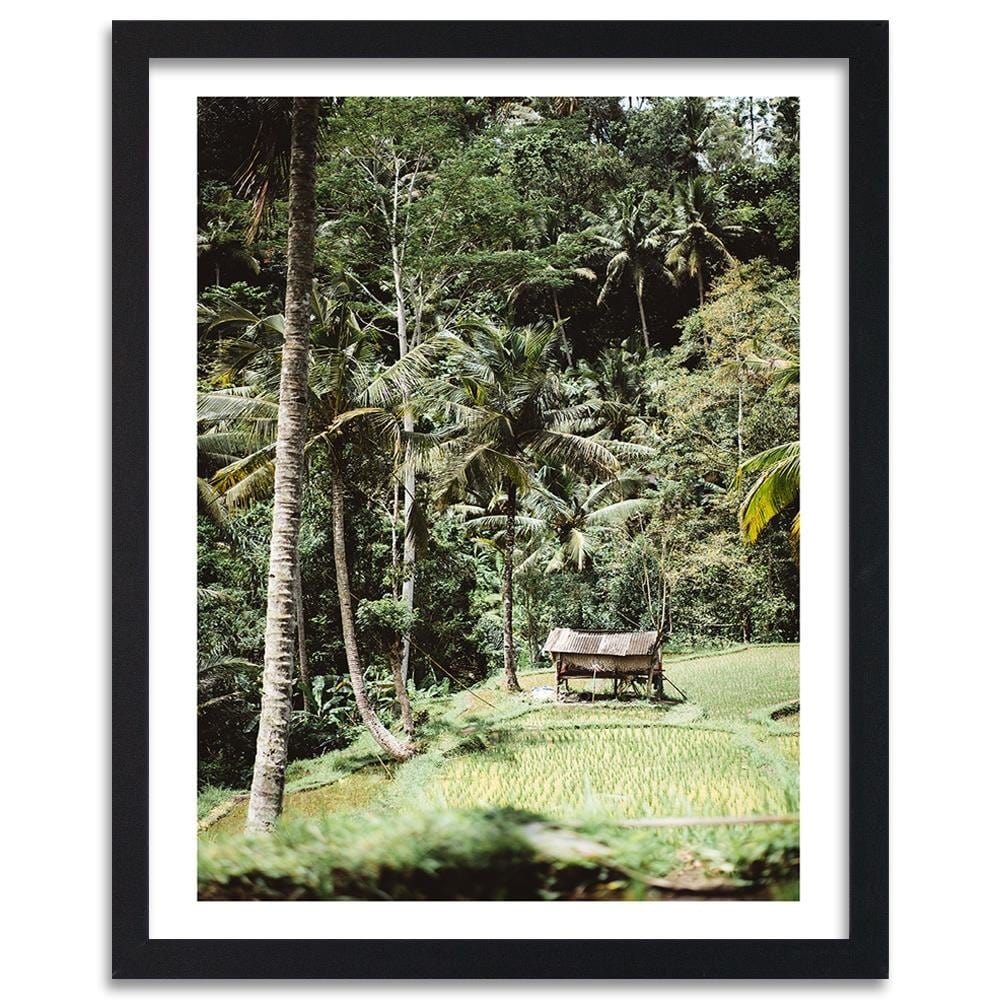 Glezna melnā rāmī - Exotic Garden Home Trends