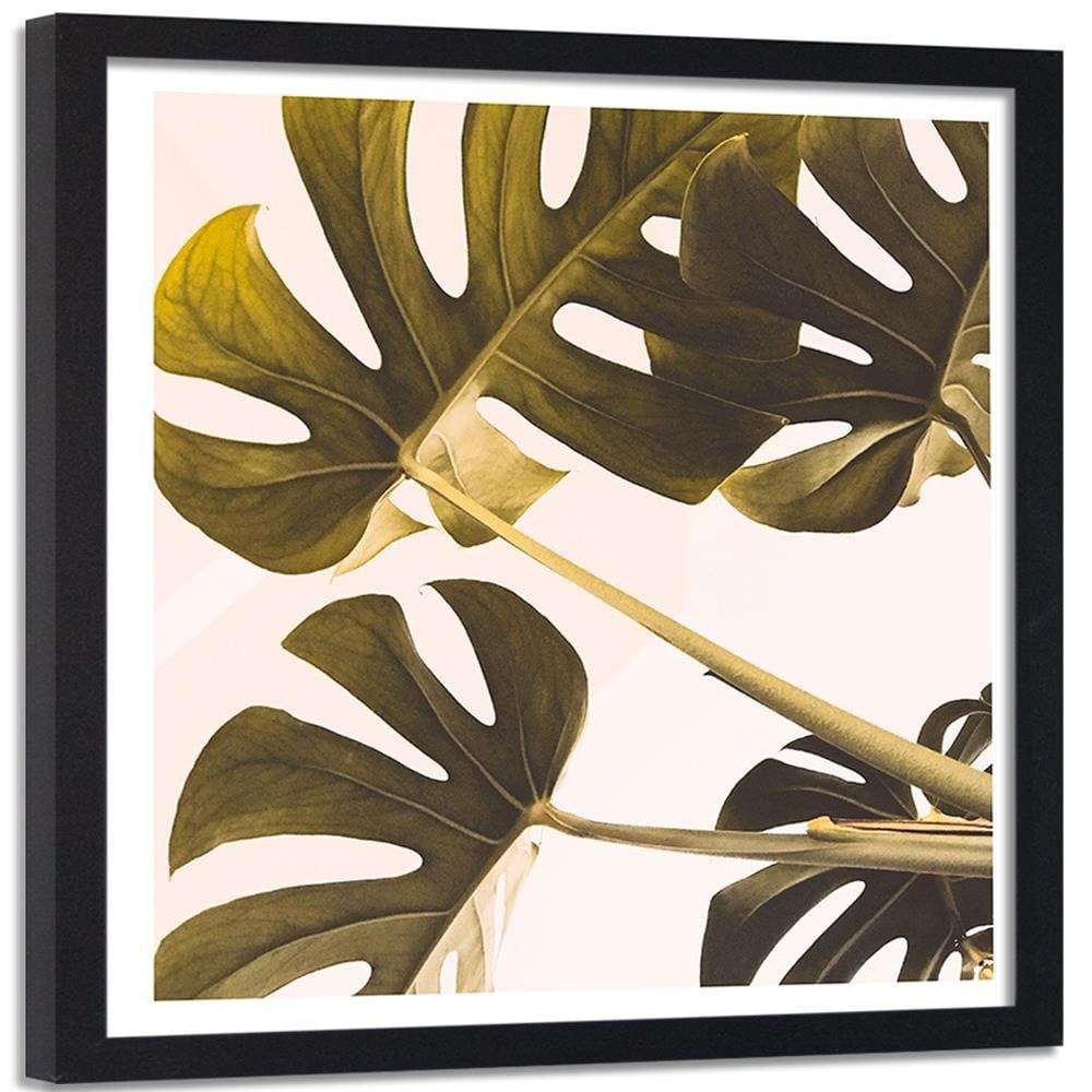 Glezna melnā rāmī - Exotic Leaves Monstera 2 Home Trends