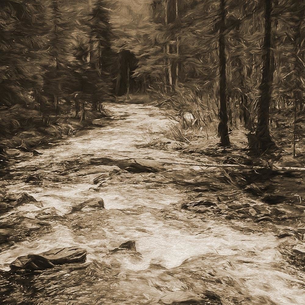 Glezna melnā rāmī - Fairytale Forest 1 Home Trends