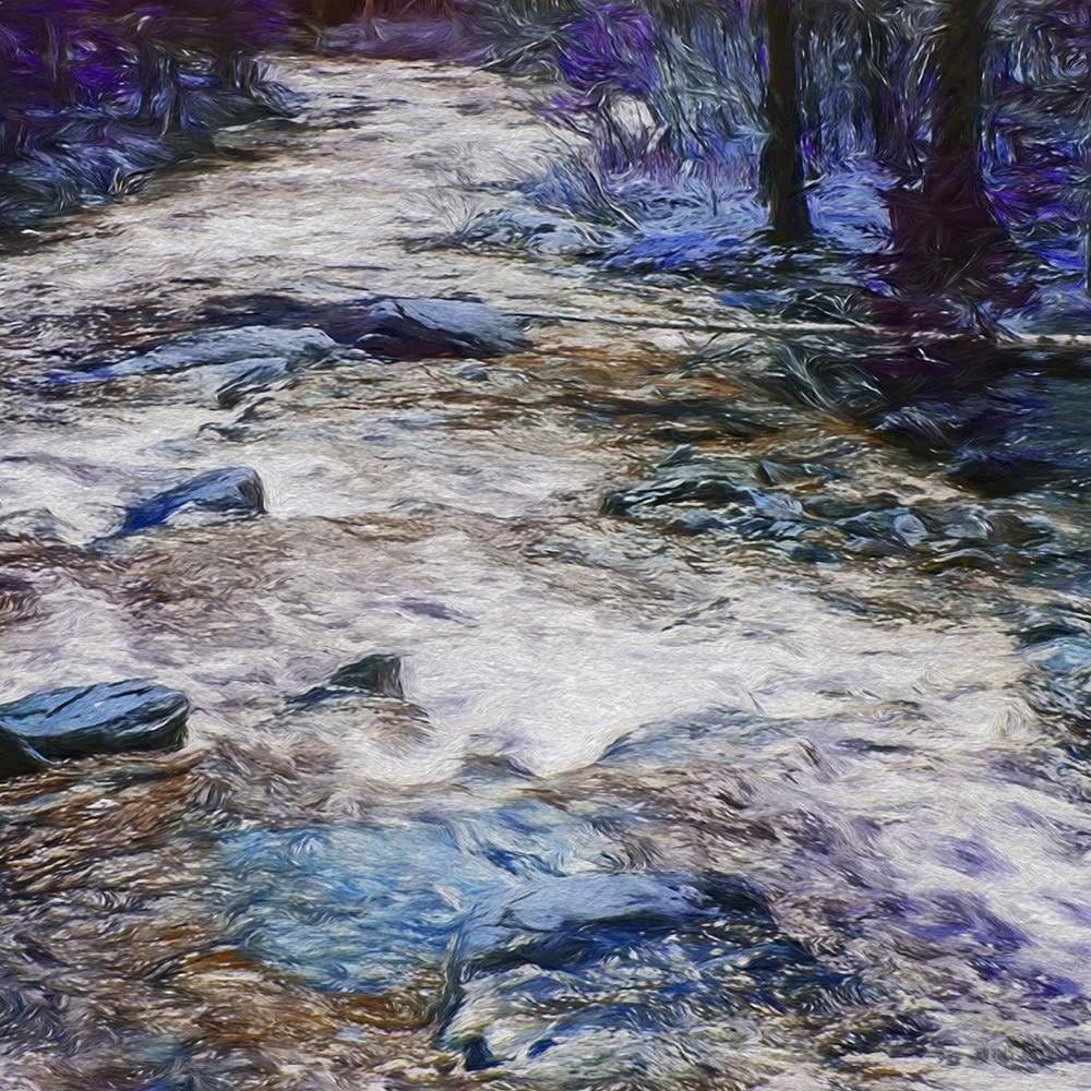 Glezna melnā rāmī - Fairytale Forest Home Trends