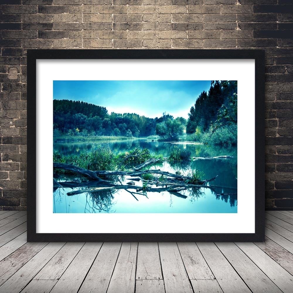 Glezna melnā rāmī - Fallen Tree In The Lake Home Trends
