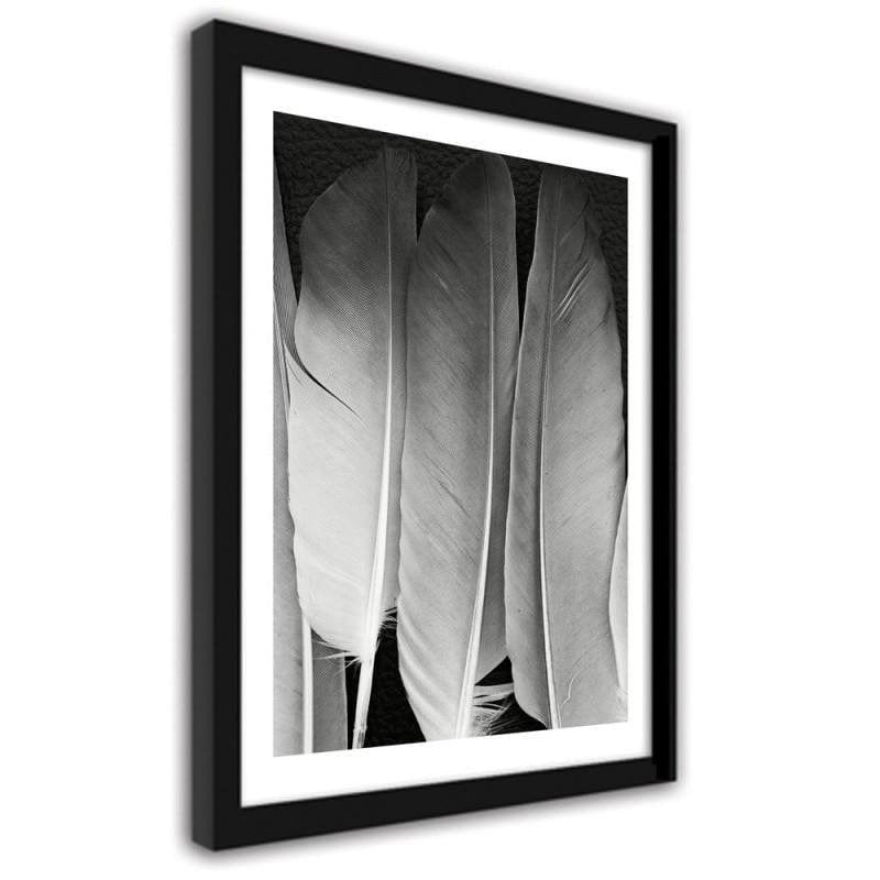 Glezna melnā rāmī - Feathers in black and white Home Trends