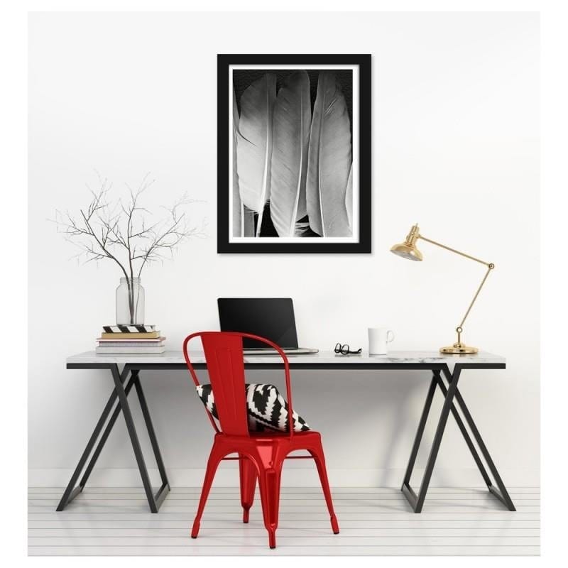 Glezna melnā rāmī - Feathers in black and white Home Trends