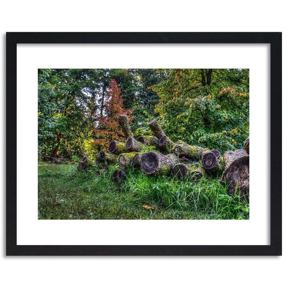 Glezna melnā rāmī - Felled Tree Trunks Home Trends