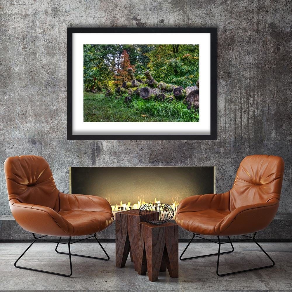 Glezna melnā rāmī - Felled Tree Trunks Home Trends