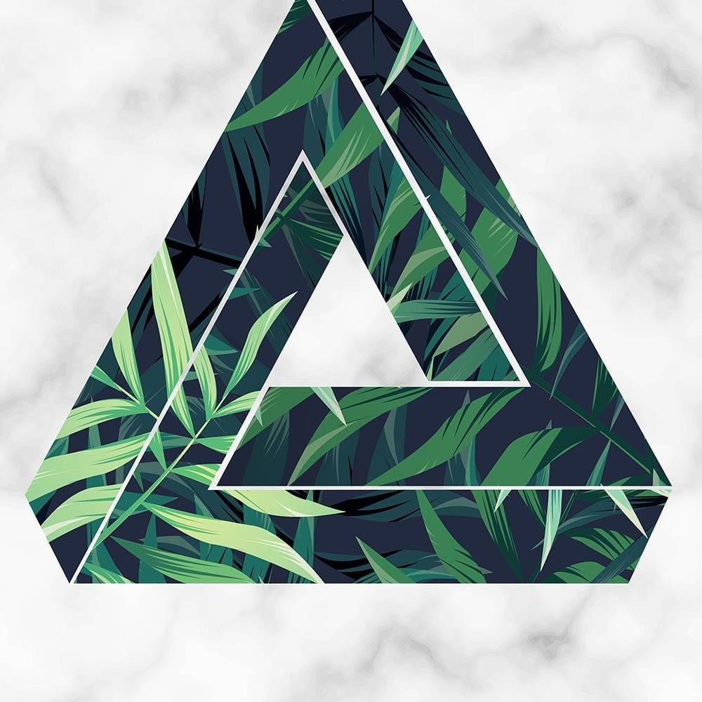 Glezna melnā rāmī - Fern Leaf Abstract In Character Home Trends
