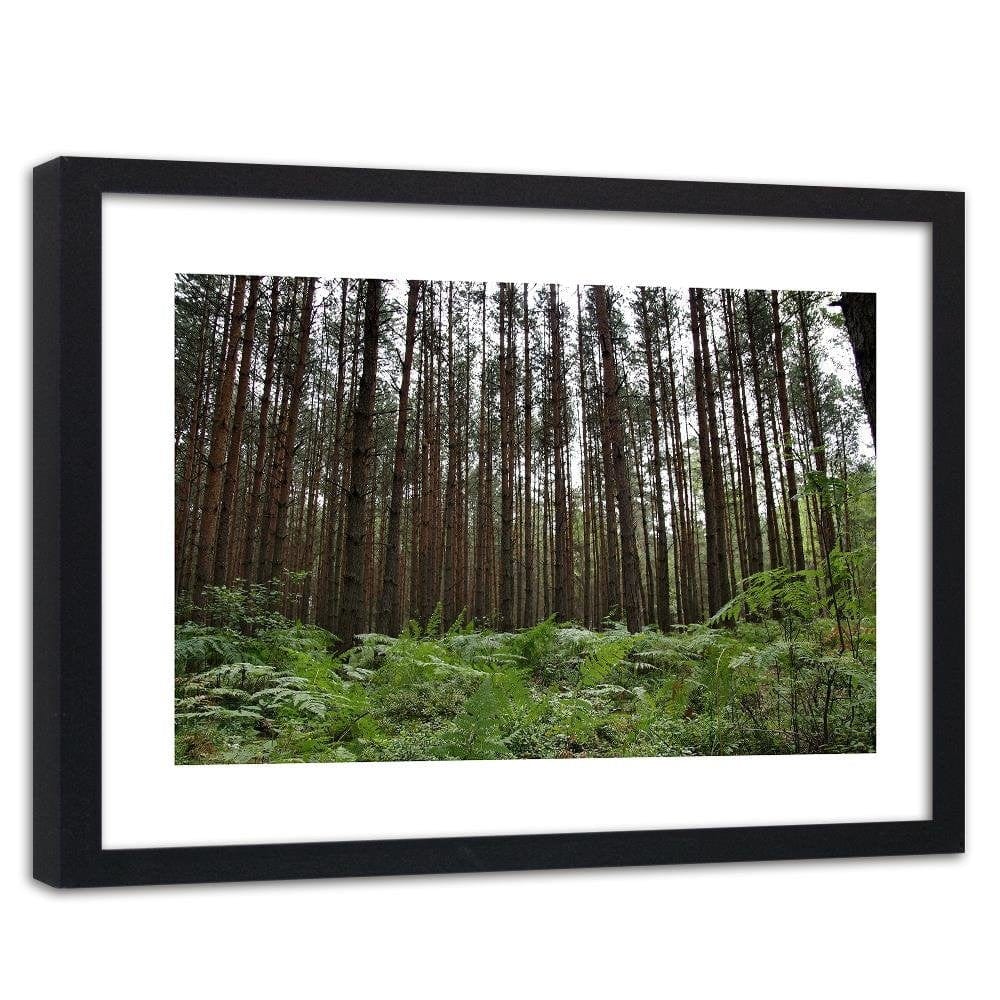Glezna melnā rāmī - Ferns In The Forest Home Trends