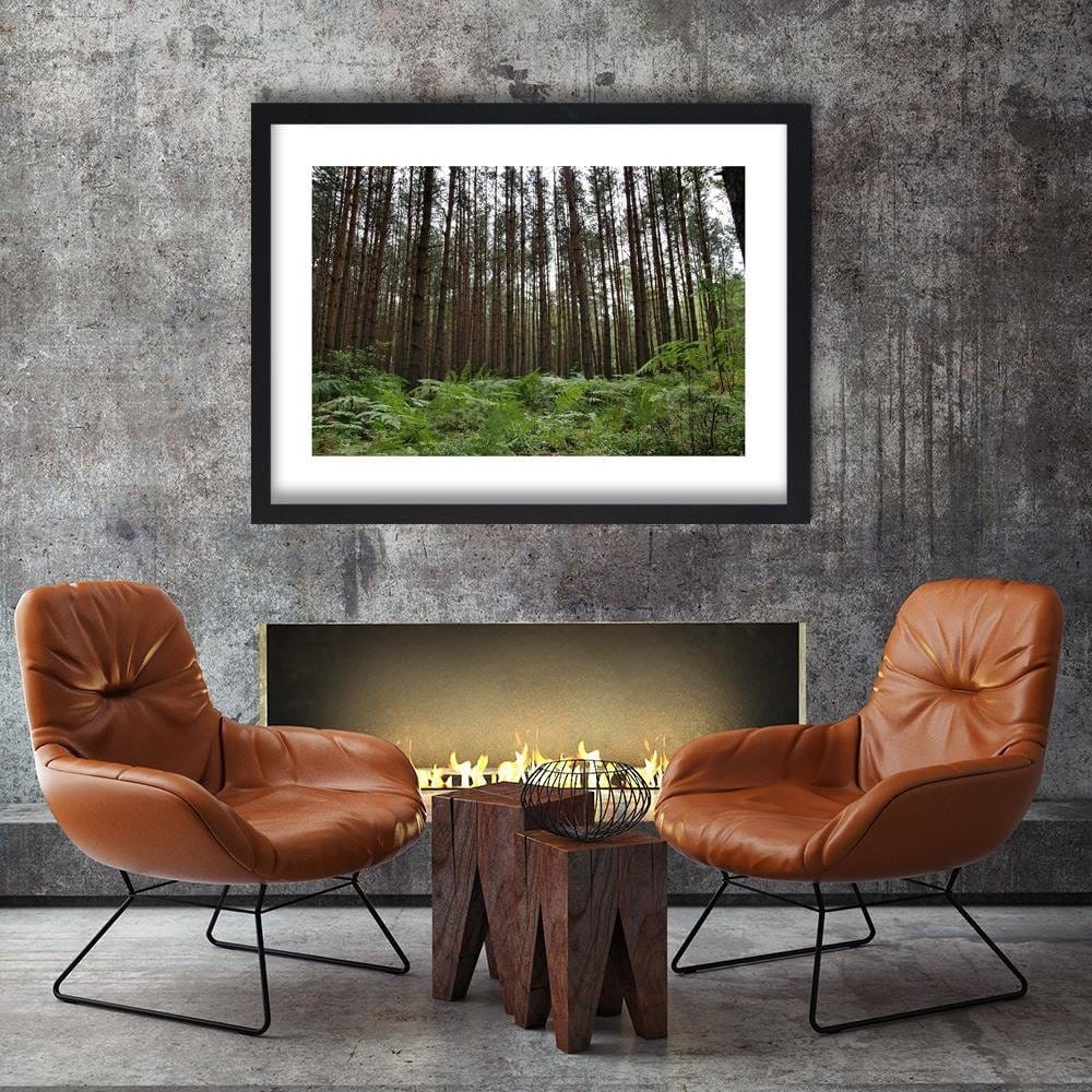 Glezna melnā rāmī - Ferns In The Forest Home Trends