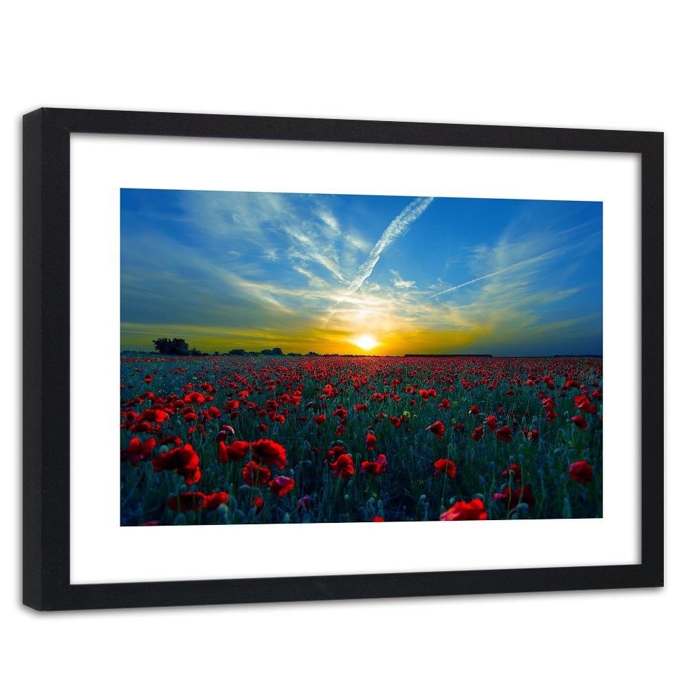 Glezna melnā rāmī - Field Of Red Poppies Home Trends