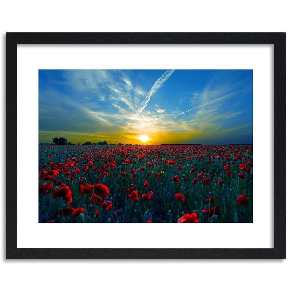 Glezna melnā rāmī - Field Of Red Poppies Home Trends