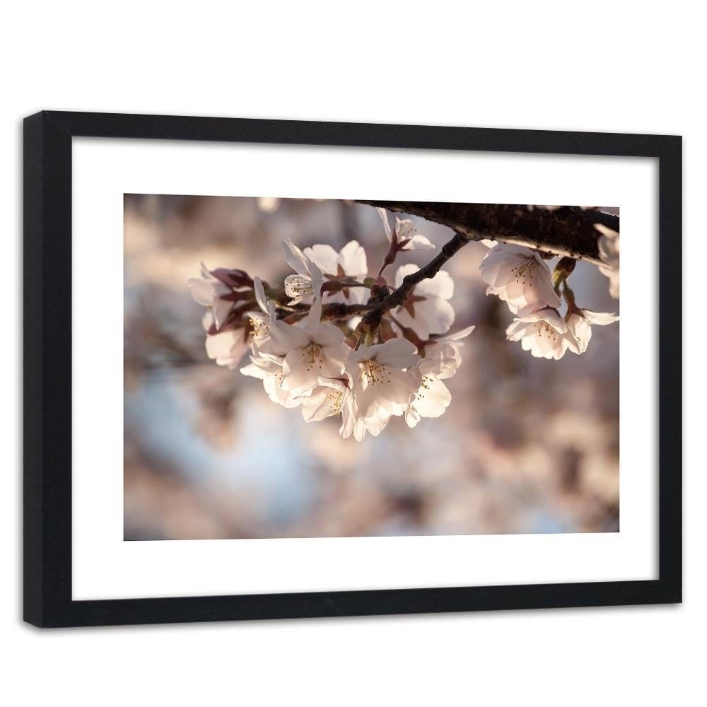 Glezna melnā rāmī - Flowering Cherry Home Trends