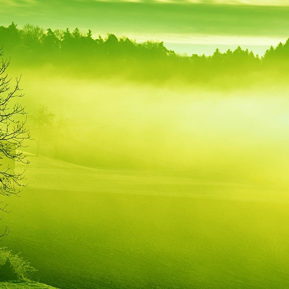 Glezna melnā rāmī - Fog On The Lake 3 Home Trends