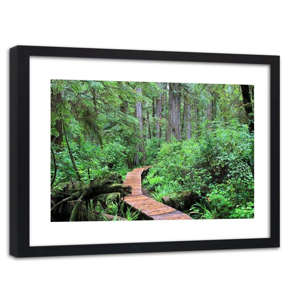 Glezna melnā rāmī - Footbridge In The Forest Home Trends