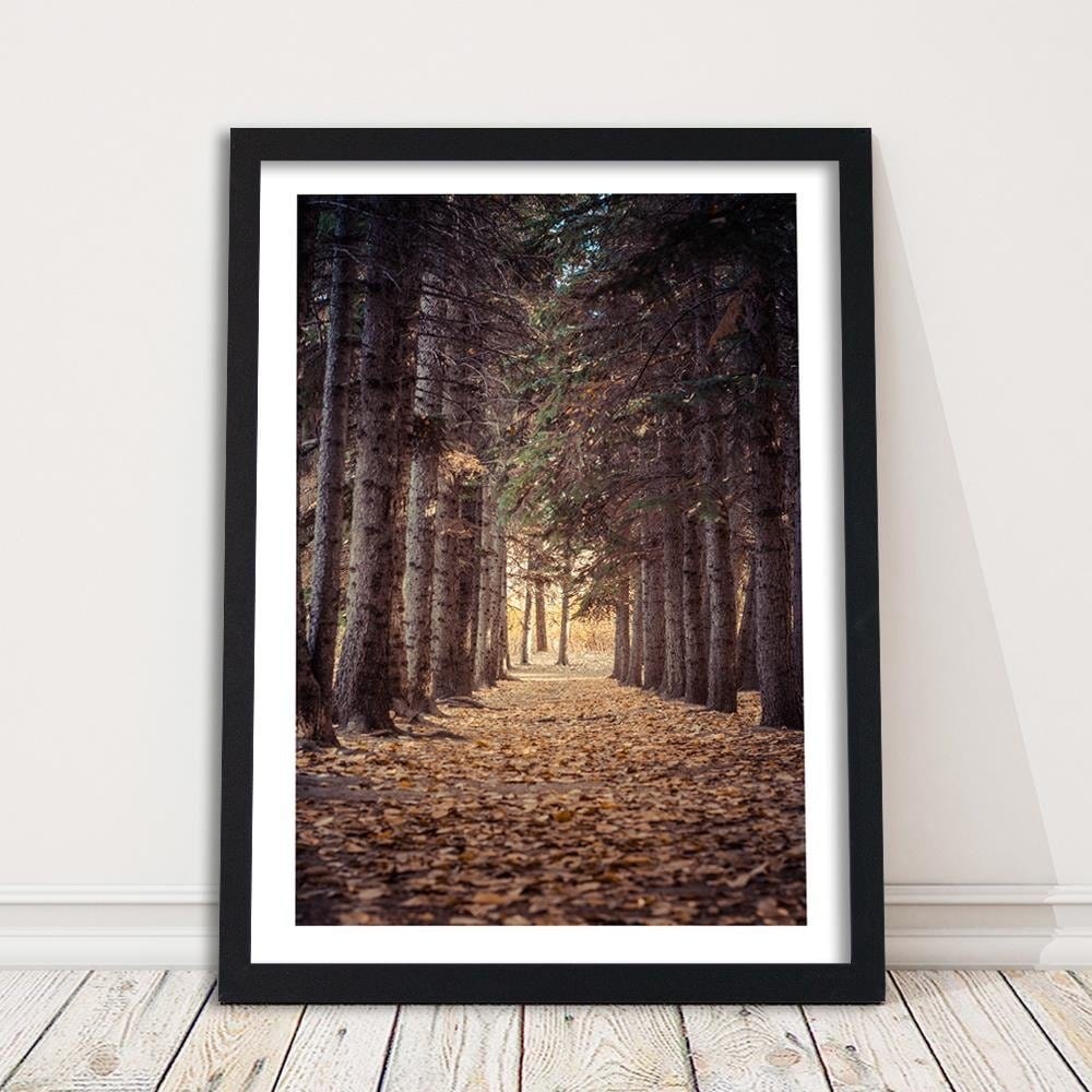 Glezna melnā rāmī - Forest In Autumn Home Trends