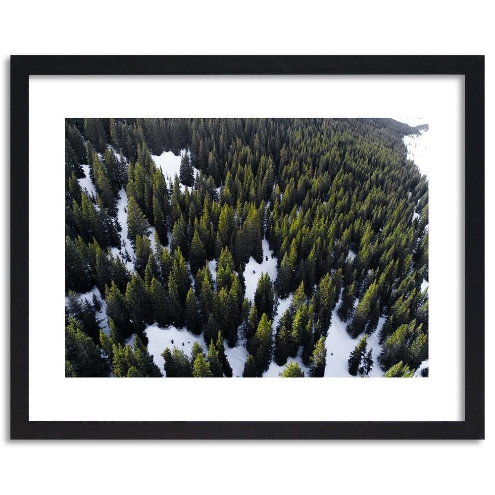 Glezna melnā rāmī - Forest In Snow Home Trends