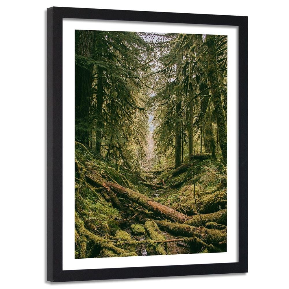 Glezna melnā rāmī - Forest Landscape Home Trends