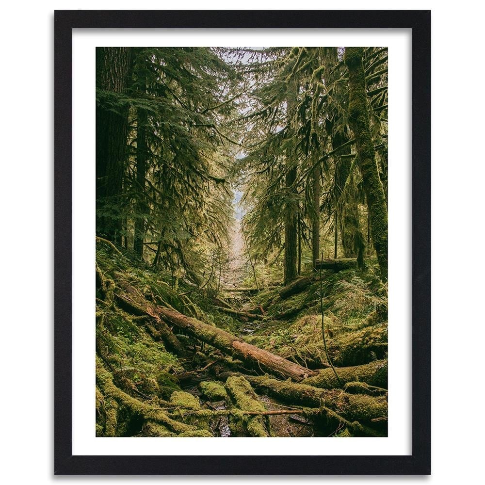 Glezna melnā rāmī - Forest Landscape Home Trends