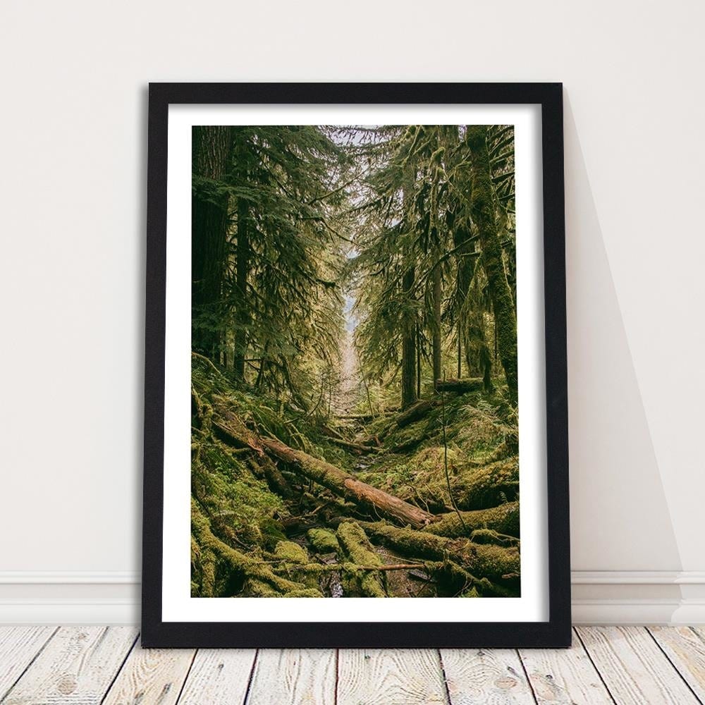 Glezna melnā rāmī - Forest Landscape Home Trends