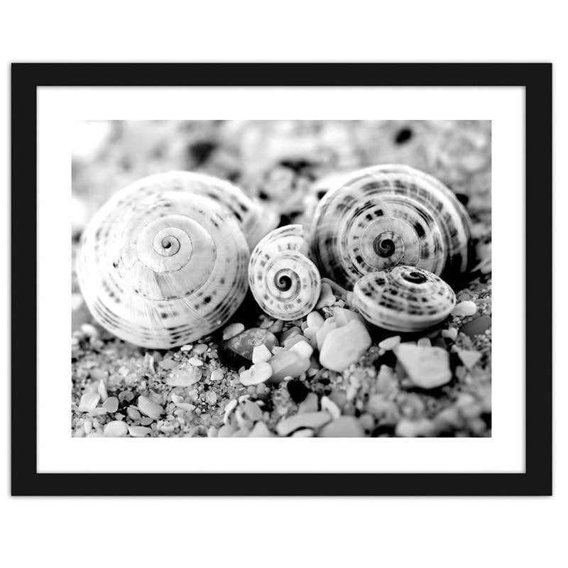 Glezna melnā rāmī - Four shells Home Trends