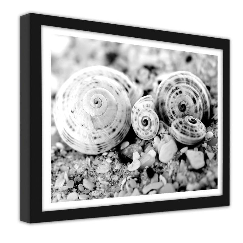 Glezna melnā rāmī - Four shells Home Trends