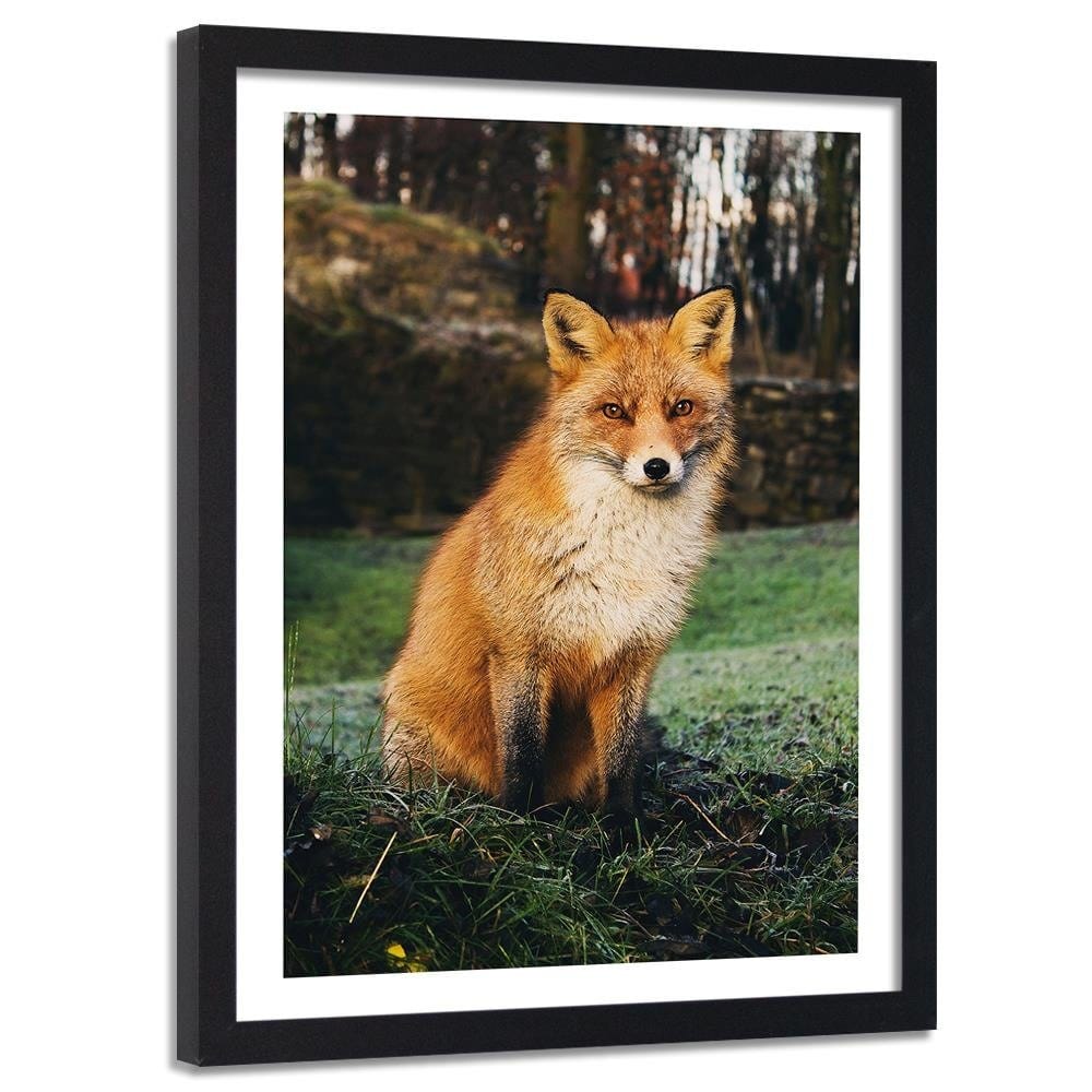 Glezna melnā rāmī - Fox In The Woods Home Trends