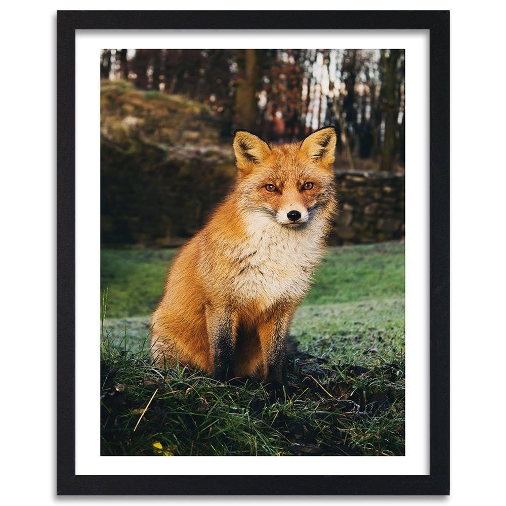 Glezna melnā rāmī - Fox In The Woods Home Trends