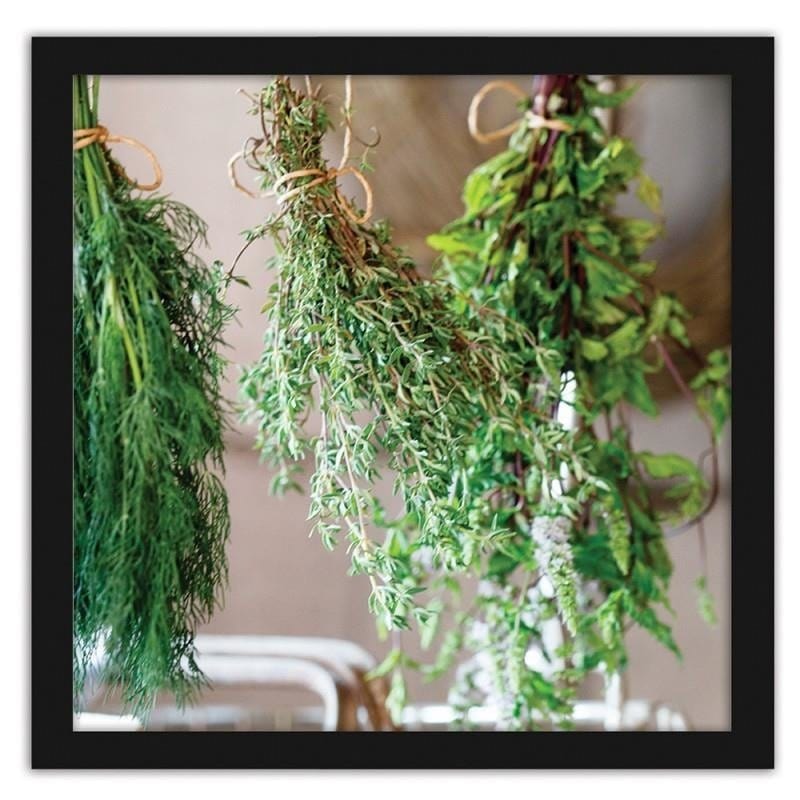 Glezna melnā rāmī - Fresh herbs 2 Home Trends