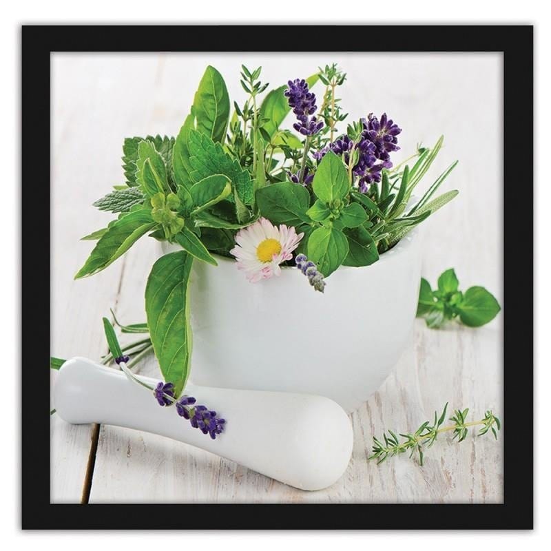 Glezna melnā rāmī - Fresh herbs Home Trends