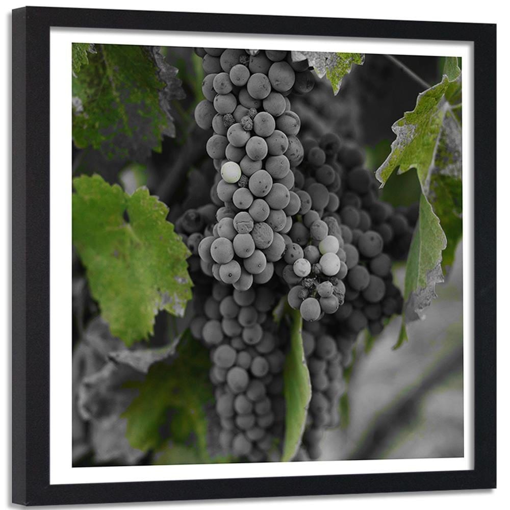 Glezna melnā rāmī - Grapes 2 Home Trends