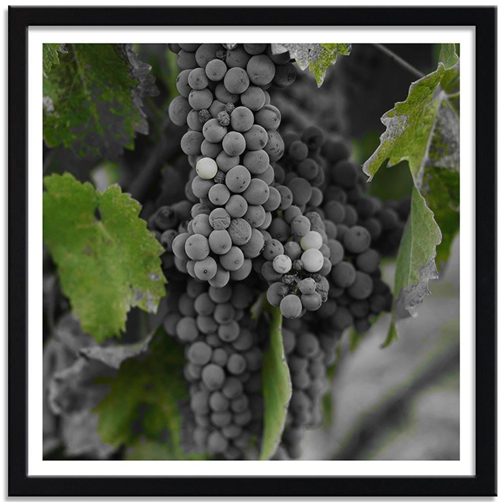 Glezna melnā rāmī - Grapes 2 Home Trends