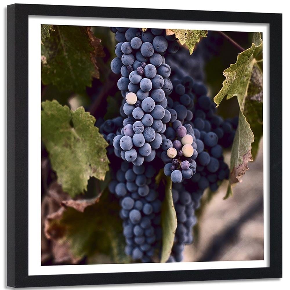 Glezna melnā rāmī - Grapes Home Trends