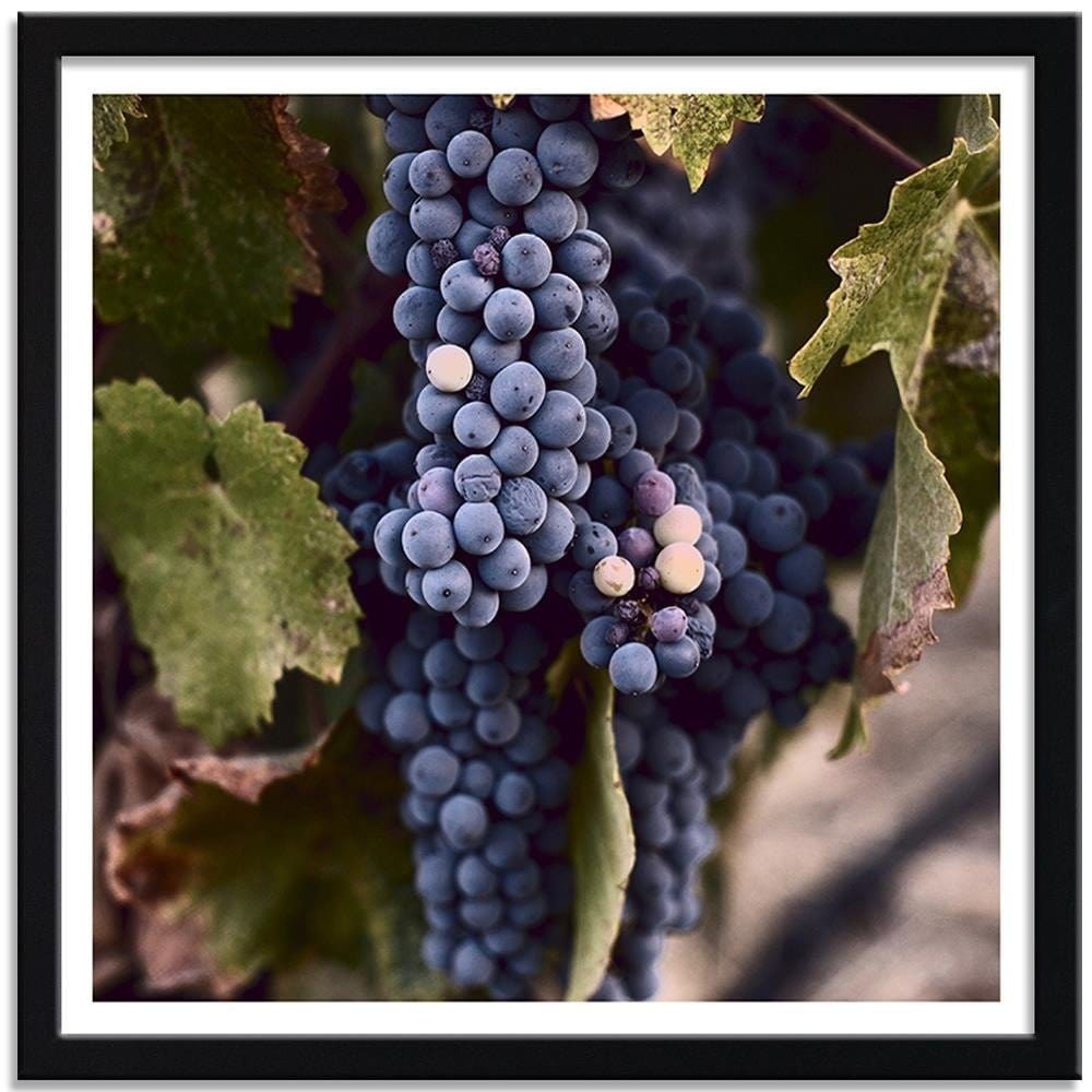 Glezna melnā rāmī - Grapes Home Trends