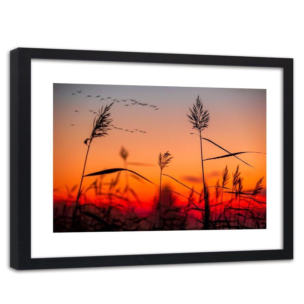 Glezna melnā rāmī - Grass At Sunset Home Trends