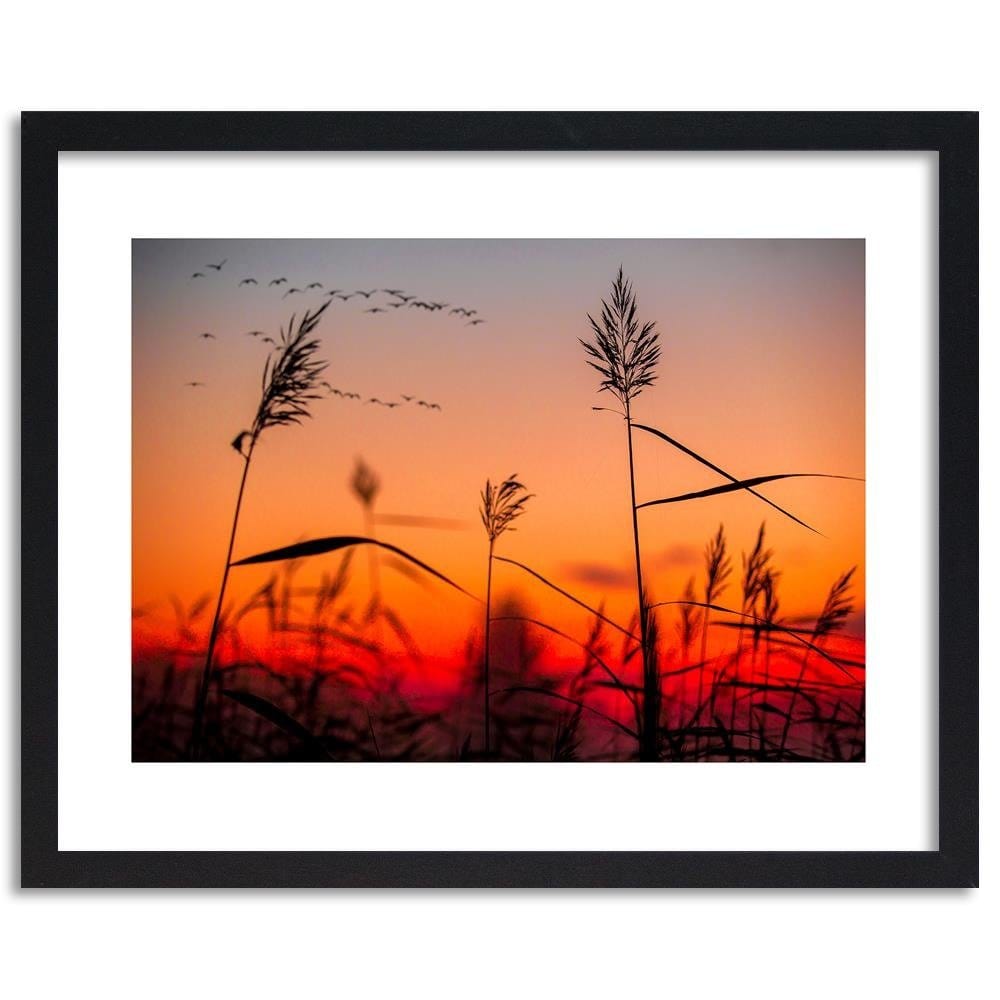 Glezna melnā rāmī - Grass At Sunset Home Trends