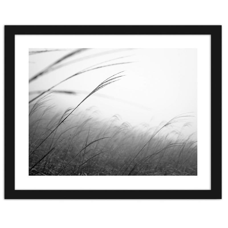 Glezna melnā rāmī - Grass in the fog Home Trends
