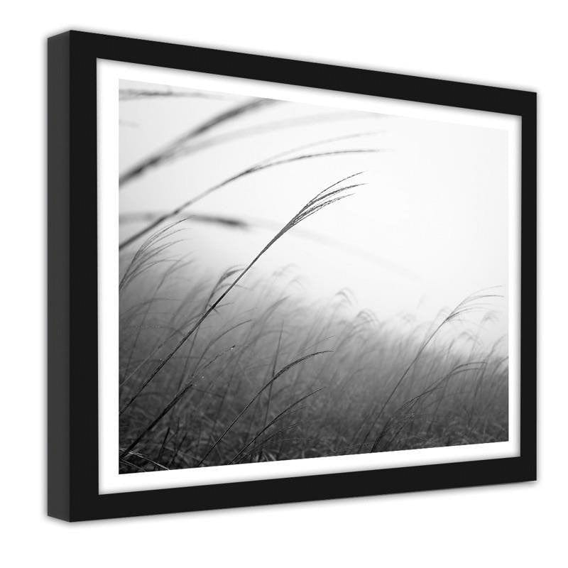 Glezna melnā rāmī - Grass in the fog Home Trends