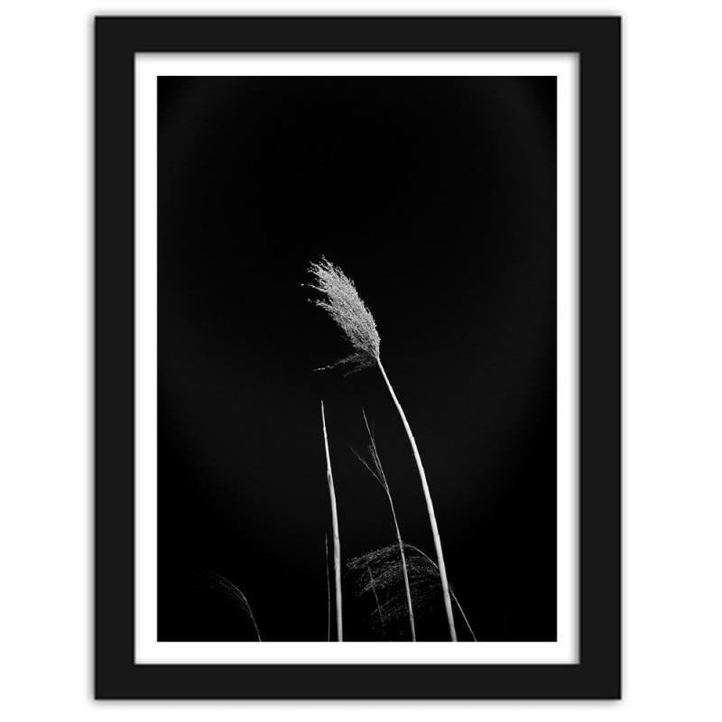 Glezna melnā rāmī - Grass on black background Home Trends