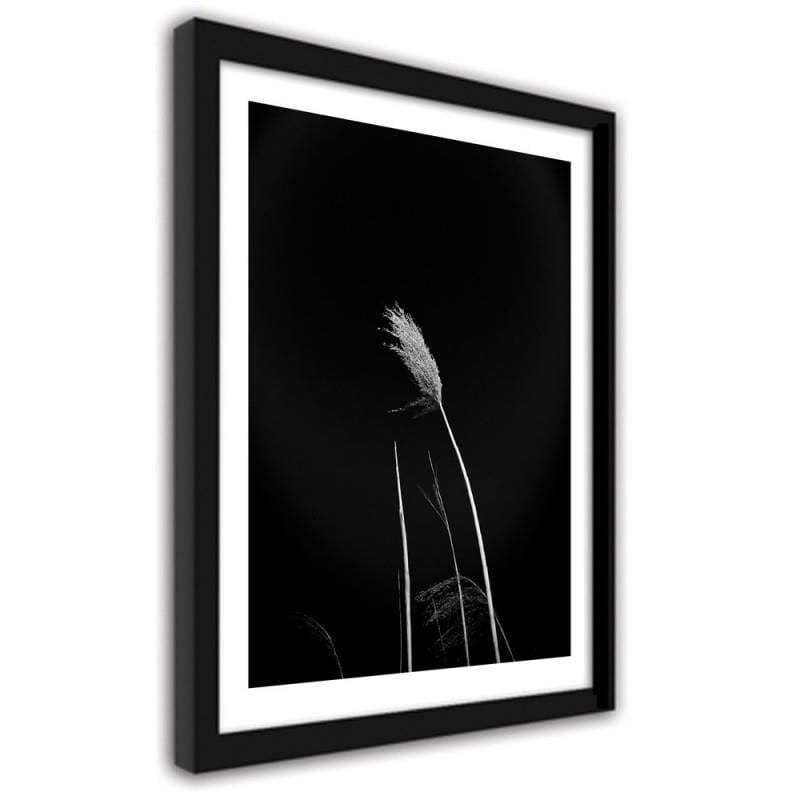 Glezna melnā rāmī - Grass on black background Home Trends
