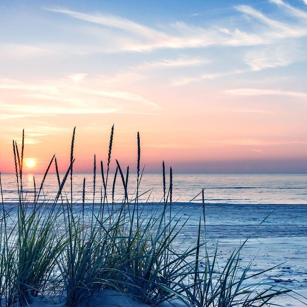 Glezna melnā rāmī - Grass On The Beach 4 Home Trends