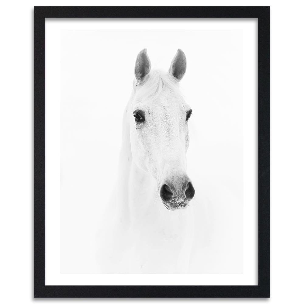 Glezna melnā rāmī - Gray Horse Home Trends