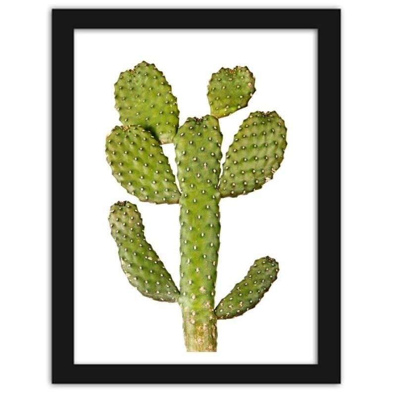 Glezna melnā rāmī - Green cactus Home Trends