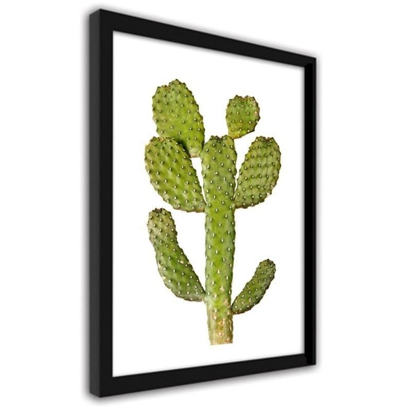 Glezna melnā rāmī - Green cactus Home Trends